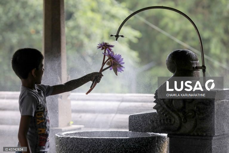 Sri Lanka: Fiéis budistas realizam rituais no dia de lua cheia em Colombo