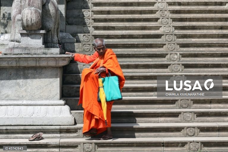 Sri Lanka: Fiéis budistas realizam rituais no dia de lua cheia em Colombo