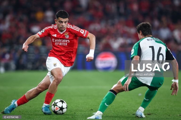 O Benfica sofreu hoje a primeira derrota na edição 2024/2025 da Liga dos Campeões em futebol, ao perder por 3-1 na receção aos neerlandeses do Feyenoord, em encontro da terceira jornada da fase de liga.