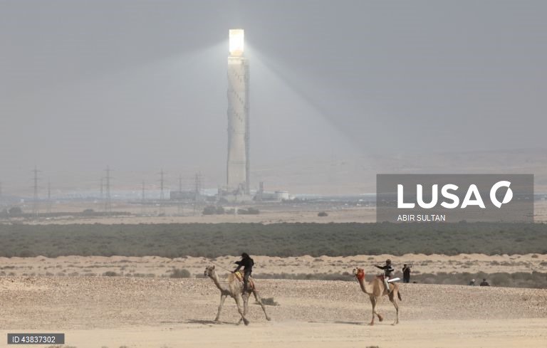 Israel: primeira corrida oficial de camelos beduínos no deserto do Negev