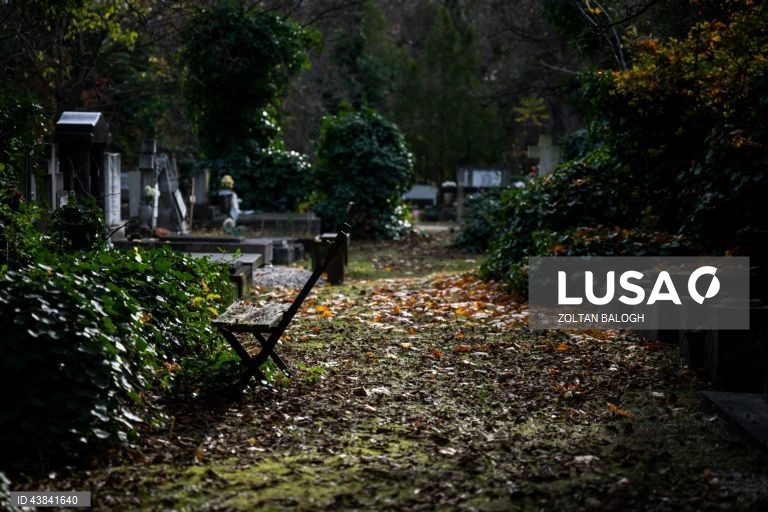 Celebração do Dia dos Mortos