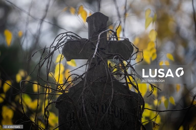 Celebração do Dia dos Mortos