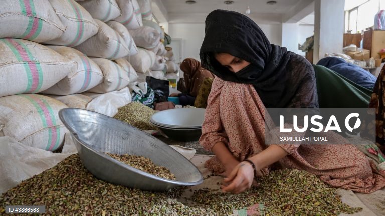 Cabul: Fábrica de frutos secos dá emprego a viúvas e indigentes