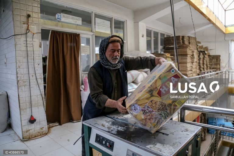 Cabul: Fábrica de frutos secos dá emprego a viúvas e indigentes