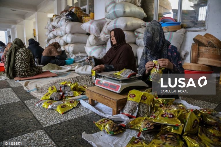 Cabul: Fábrica de frutos secos dá emprego a viúvas e indigentes