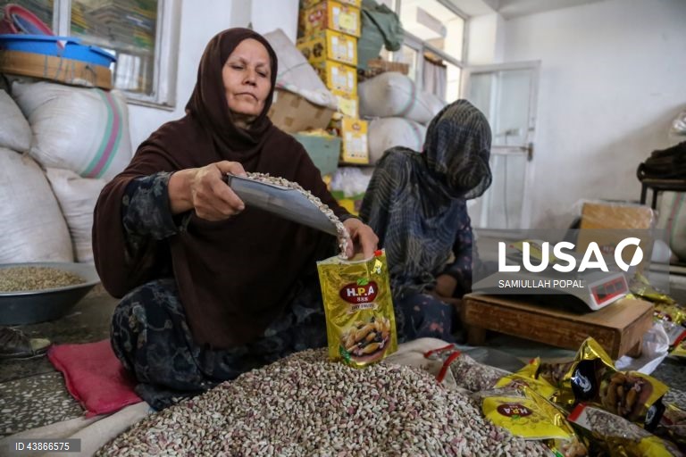Cabul: Fábrica de frutos secos dá emprego a viúvas e indigentes