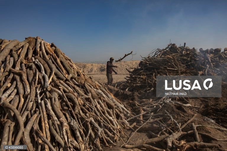 Produção de carvão em Gaza