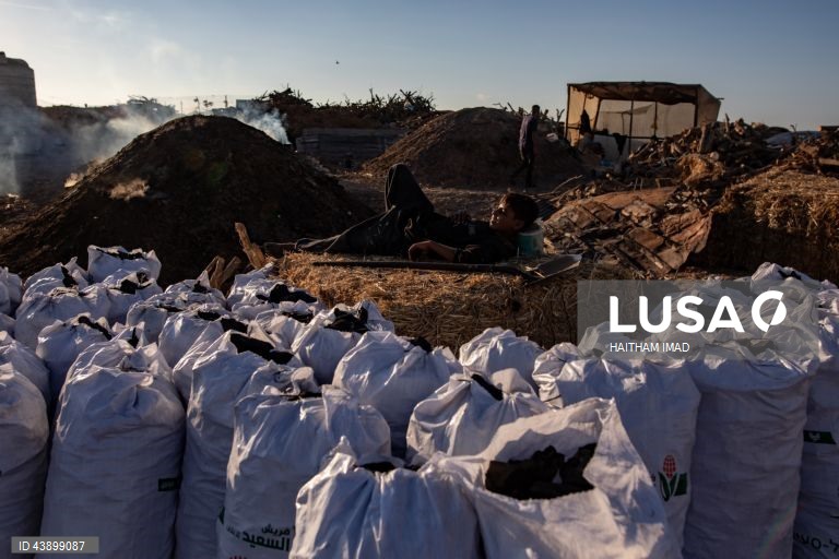 Produção de carvão em Gaza