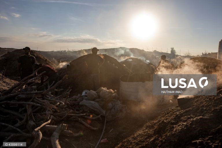 Produção de carvão em Gaza