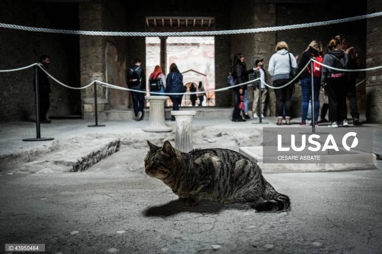 Itália: Reabertura da Casa da Fonte Pequena em Pompeia após trabalhos de restauro