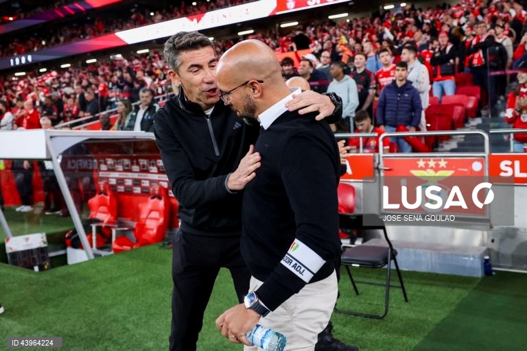 SL Benfica vs Estrela da Amadora