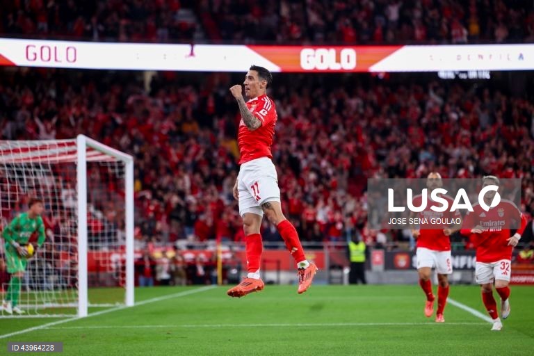SL Benfica vs Estrela da Amadora