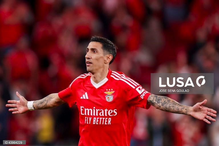 SL Benfica vs Estrela da Amadora