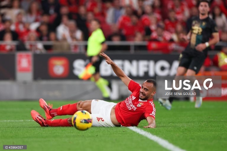 SL Benfica vs Estrela da Amadora