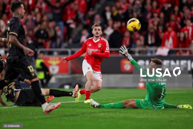 SL Benfica vs Estrela da Amadora