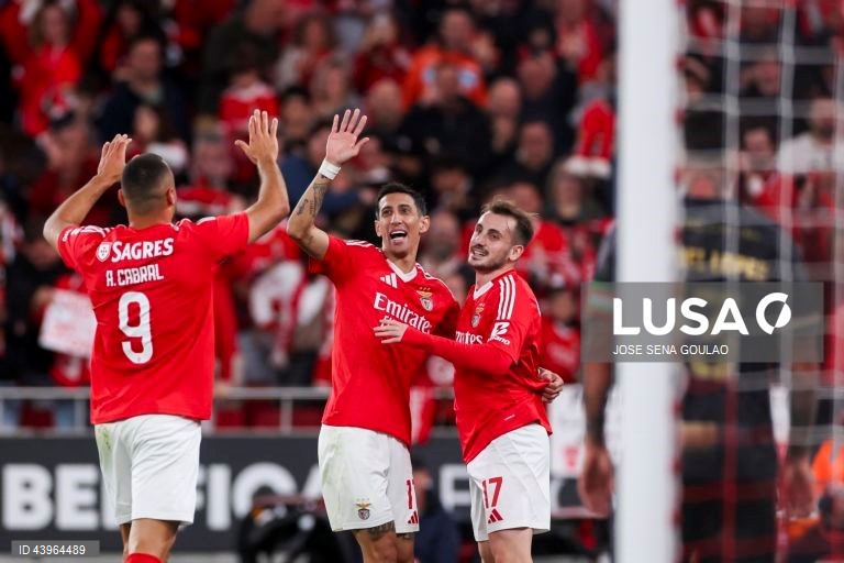 SL Benfica vs Estrela da Amadora