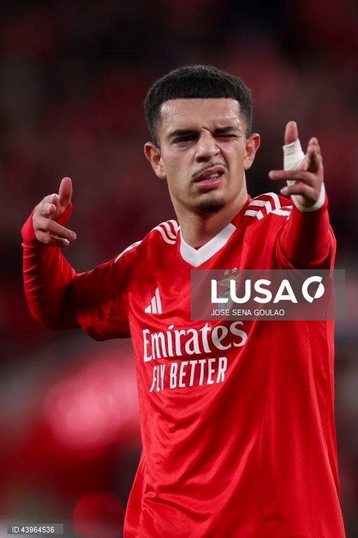 SL Benfica vs Estrela da Amadora