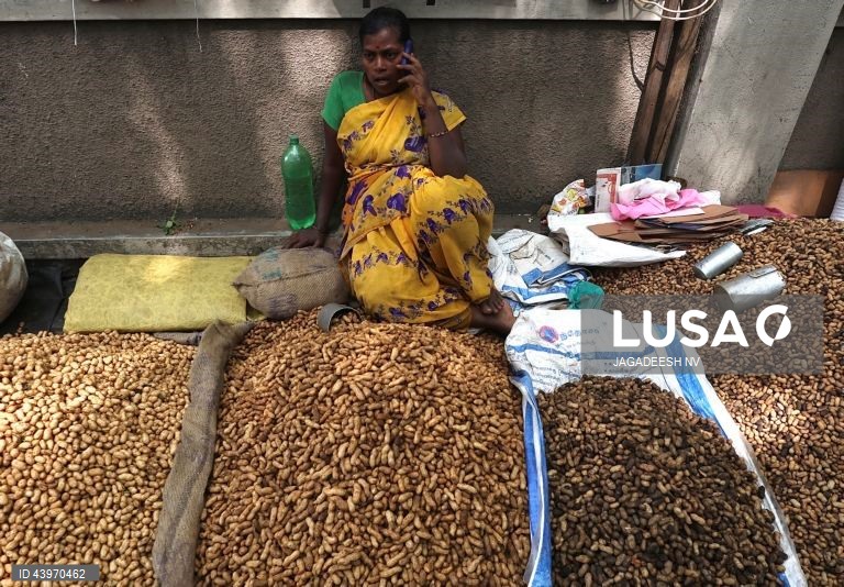 Índia: Festival do amendoim em Bangalore