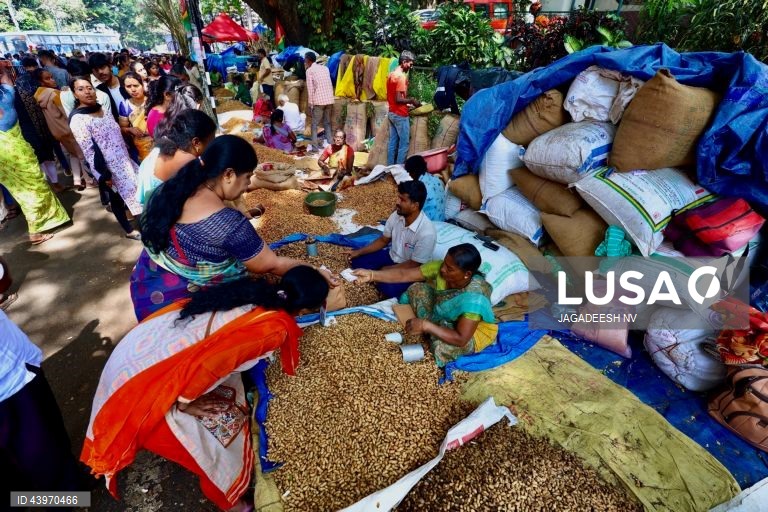 Índia: Festival do amendoim em Bangalore