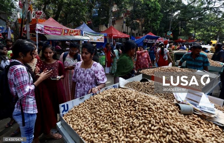 Índia: Festival do amendoim em Bangalore