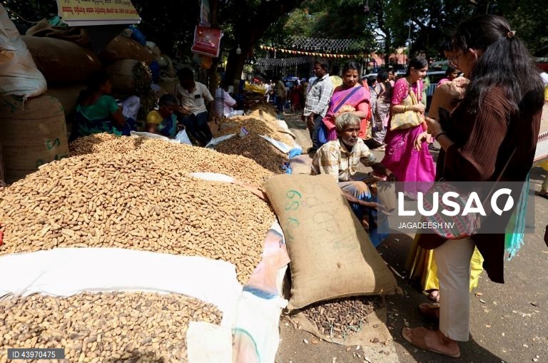 Índia: Festival do amendoim em Bangalore