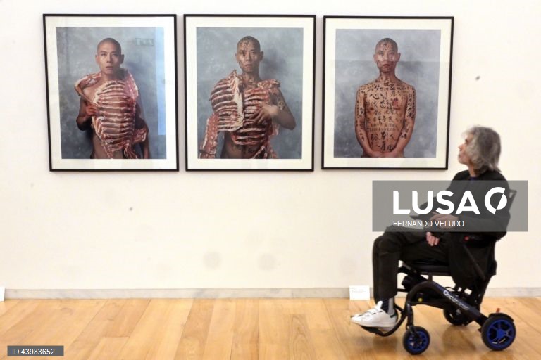 Exposição "Canção Contemporânea", obras da Coleção Mário Teixeira da Silva na coleção Serralves, com curadoria de Marta Moreira de Almeida, diretora-adjunta do Museu de Serralves, reúne 185 obras de 109 artistas portugueses e estrangeiros, na Fundação de Serralves, no Porto, 27 de novembro de 2024. A exposição dedicada à primeira apresentação em Serralves da Coleção de arte contemporânea criada pelo galerista e colecionador Mário Teixeira da Silva (Porto, 1947 — 2023, Lisboa), recentemente...