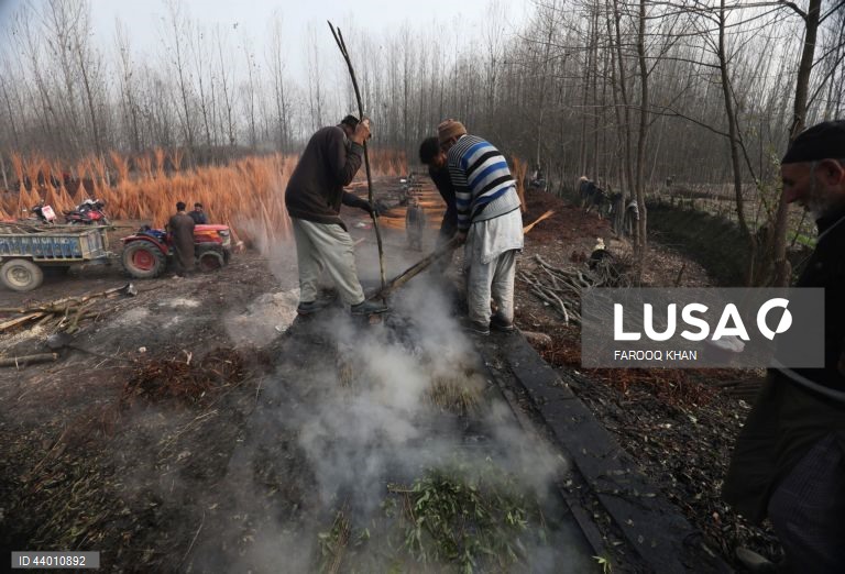 Índia: Produção de artesanato de verga em Srinagar