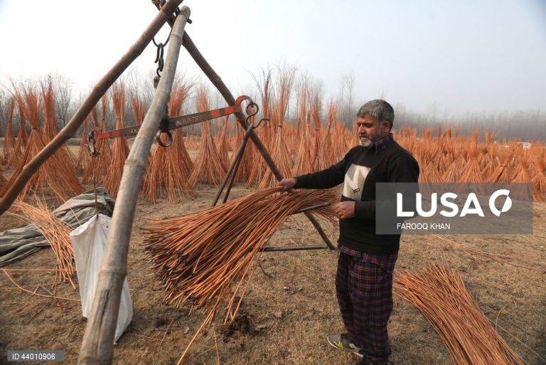 Índia: Produção de artesanato de verga em Srinagar