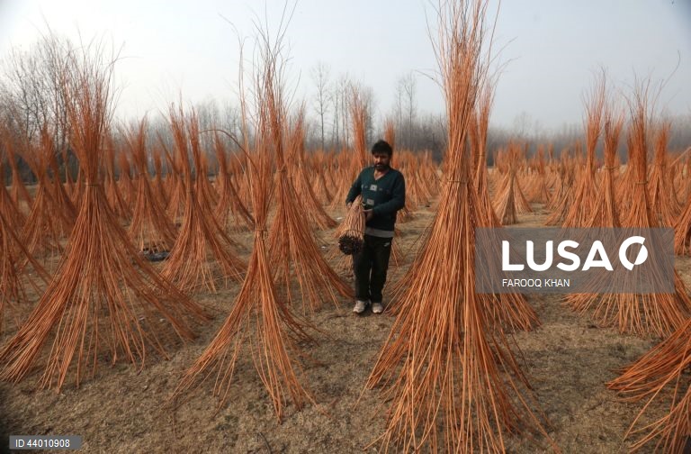 Índia: Produção de artesanato de verga em Srinagar