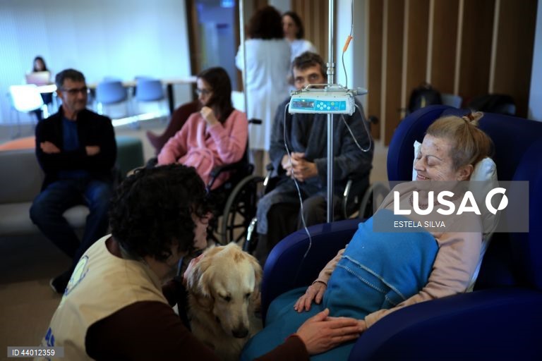 Os doentes em cuidados paliativos do Instituto Português de Oncologia (IPO) do Porto recebem desde outubro, semanalmente, a visita de cães de intervenções assistidas, um apoio que utentes, familiares e profissionais garantem ajuda a minimizar o sofrimento, 02 de dezembro 2024. Um golden retriever de três anos, chamado Zazu, e um border collie de 22 meses, de nome Heartie, acompanhados respetivamente pelos tutores Catarina Cascais e Abílio Leite, são os protagonistas deste serviço...