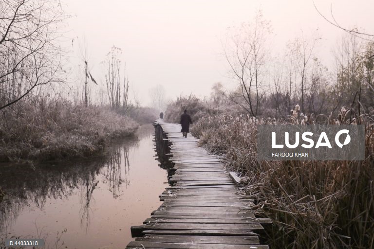 Índia: Tempo frio em Caxemira