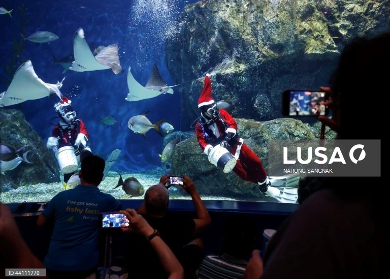 Tailândia: Mergulhadores do aquário de Banguecoque vestidos de Pai Natal alimentam os peixes para celebrar o Natal