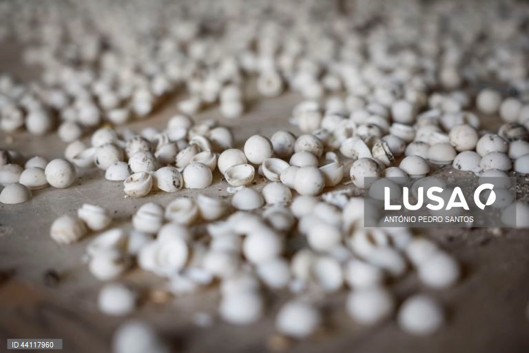 Síria: Fábrica de droga escondida em "villa" luxuosa