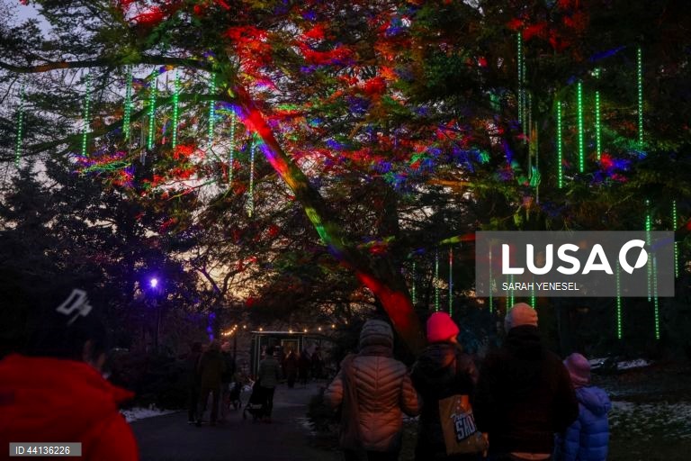 Pessoas visitam o trilho "Lightscape" do Jardim Botânico de Brooklyn, em Nova Iorque