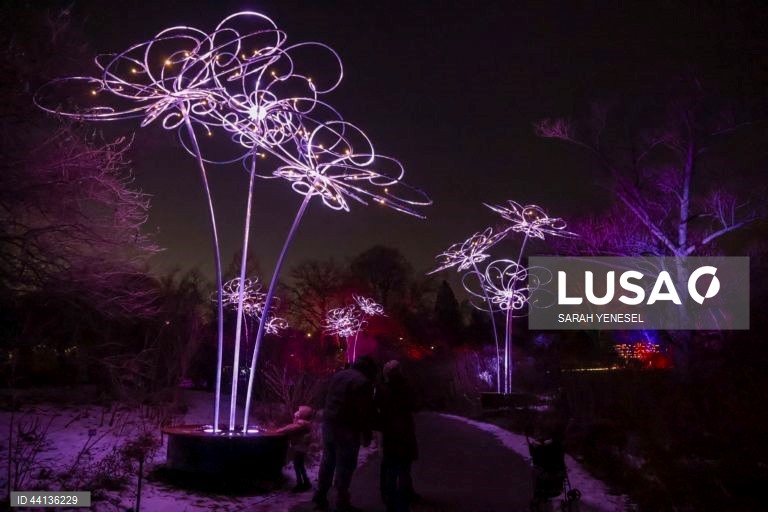 Pessoas visitam o trilho "Lightscape" do Jardim Botânico de Brooklyn, em Nova Iorque