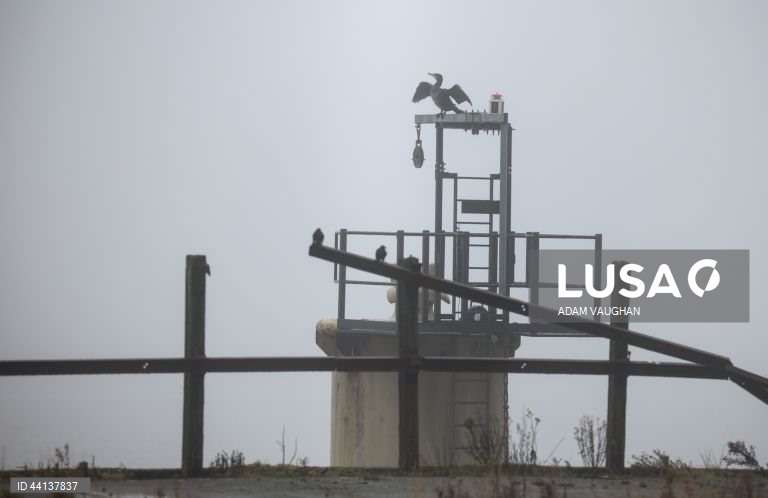 Reino Unido: Nevoeiro em Liverpool