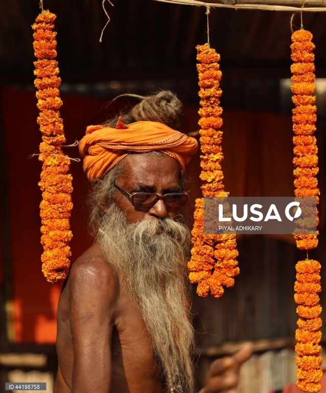 Índia: Peregrinos chegam ao campo de Babughat para a feira anual de Ganga Sagar