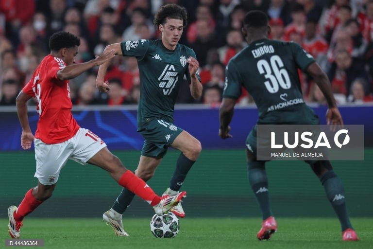 Futebol: Liga dos Campeões - Benfica vs Mónaco