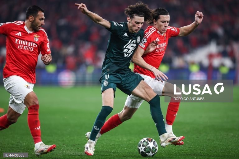 Futebol: Liga dos Campeões - Benfica vs Mónaco