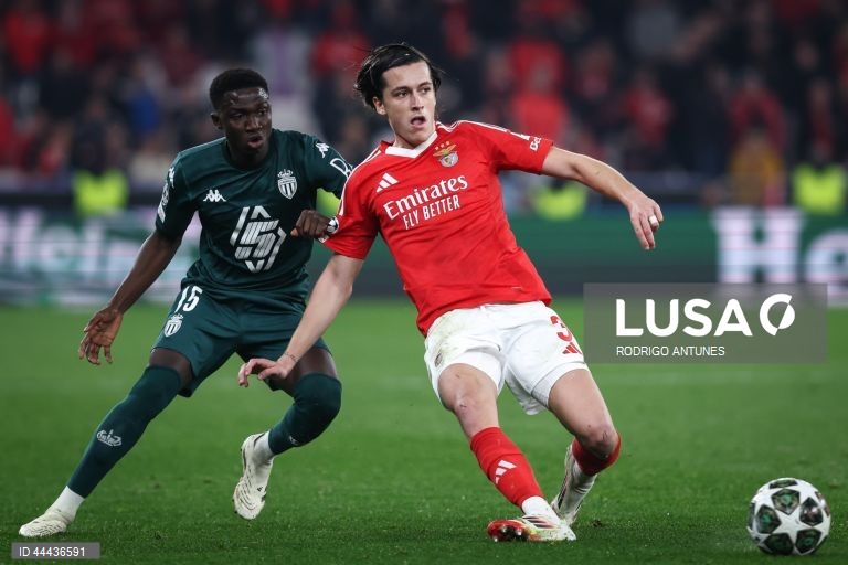 Futebol: Liga dos Campeões - Benfica vs Mónaco