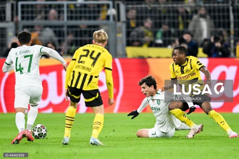 O Sporting foi hoje eliminado da Liga dos Campeões em futebol, ao empatar a zero no reduto do Borussia Dortmund, em encontro da segunda mão do play-off de acesso aos oitavos de final.
