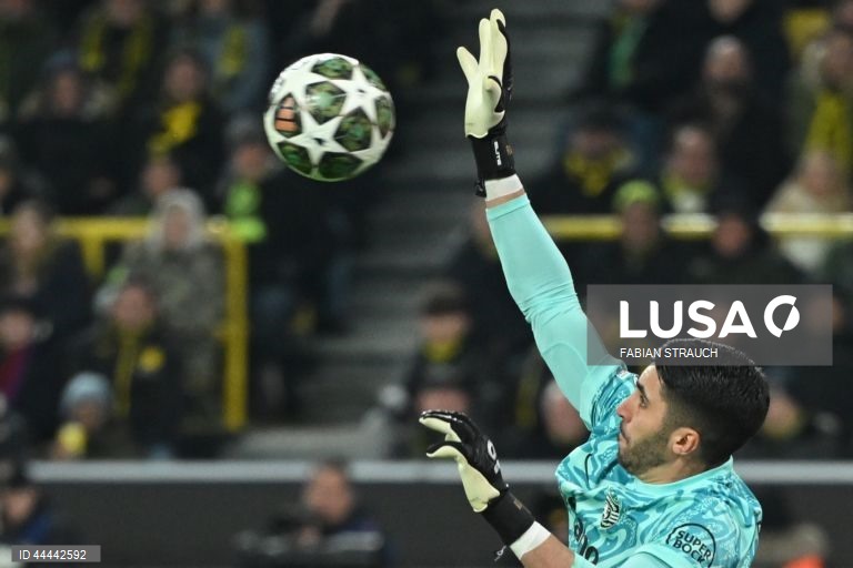 O Sporting foi hoje eliminado da Liga dos Campeões em futebol, ao empatar a zero no reduto do Borussia Dortmund, em encontro da segunda mão do play-off de acesso aos oitavos de final.