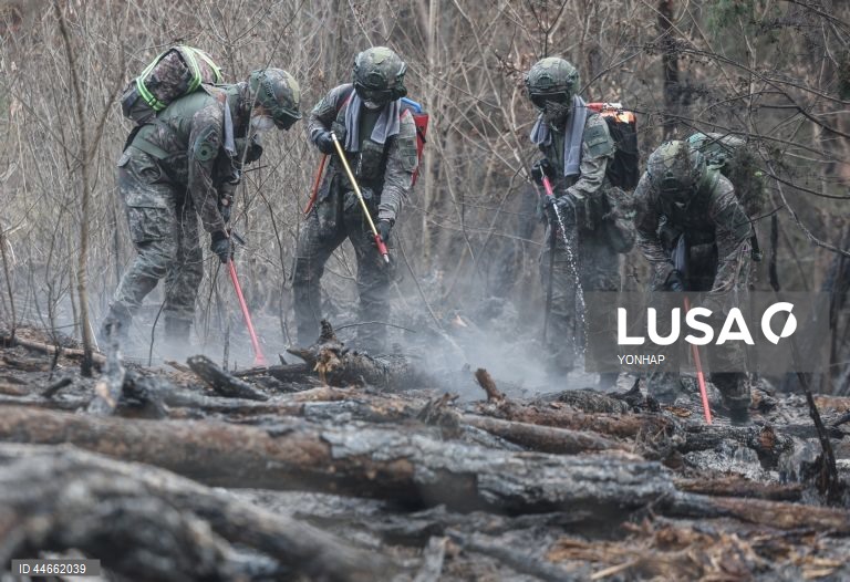 Coreia do Sul debate-se com os maiores incêndios florestais de que há registo, com pelo menos 26 mortos