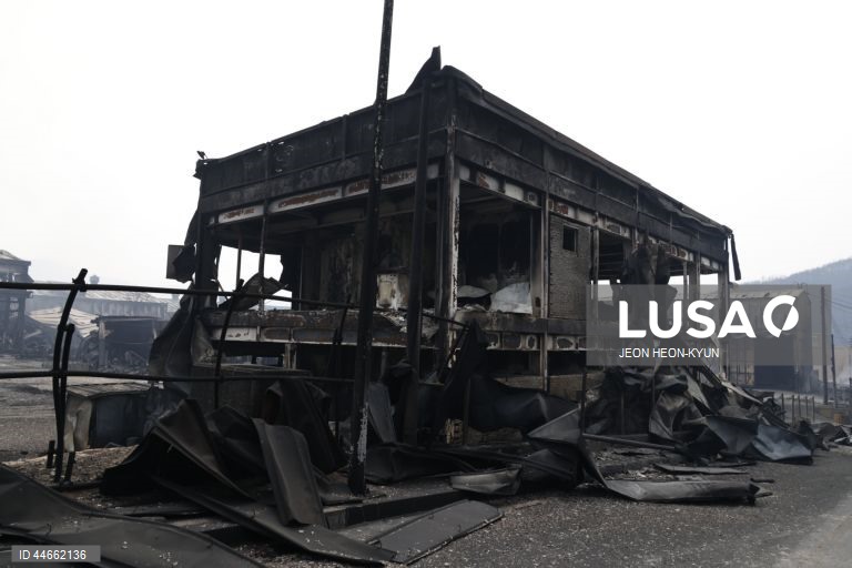 Coreia do Sul debate-se com os maiores incêndios florestais de que há registo, com pelo menos 26 mortos