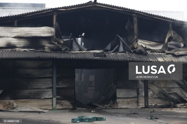 Coreia do Sul debate-se com os maiores incêndios florestais de que há registo, com pelo menos 26 mortos