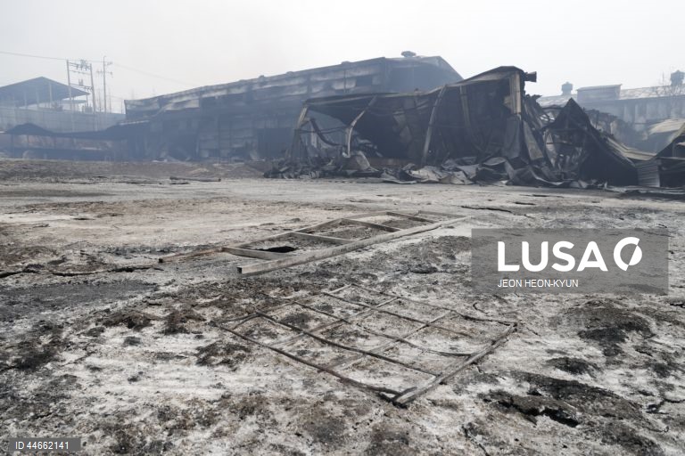 Coreia do Sul debate-se com os maiores incêndios florestais de que há registo, com pelo menos 26 mortos