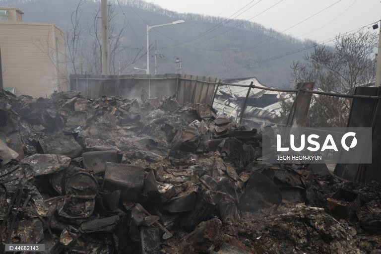 Coreia do Sul debate-se com os maiores incêndios florestais de que há registo, com pelo menos 26 mortos