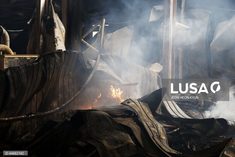 Coreia do Sul debate-se com os maiores incêndios florestais de que há registo, com pelo menos 26 mortos