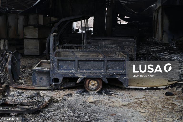 Coreia do Sul debate-se com os maiores incêndios florestais de que há registo, com pelo menos 26 mortos