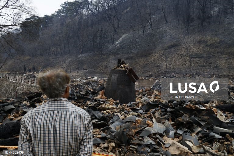 Coreia do Sul debate-se com os maiores incêndios florestais de que há registo, com pelo menos 26 mortos